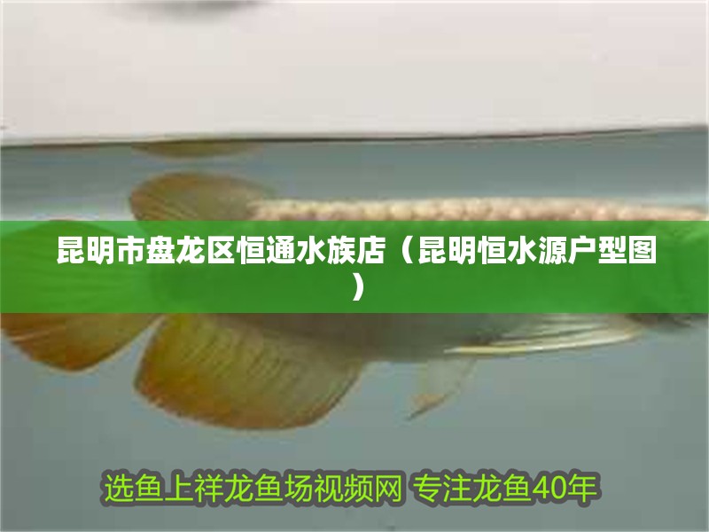 <strong><mark>昆明</mark></strong>市盤龍區(qū)恒通水族店（<strong><mark>昆明</mark></strong>恒水源戶型圖）