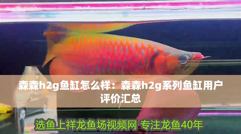森森h2g魚缸怎么樣：森森h2g系列魚缸用戶評價匯總