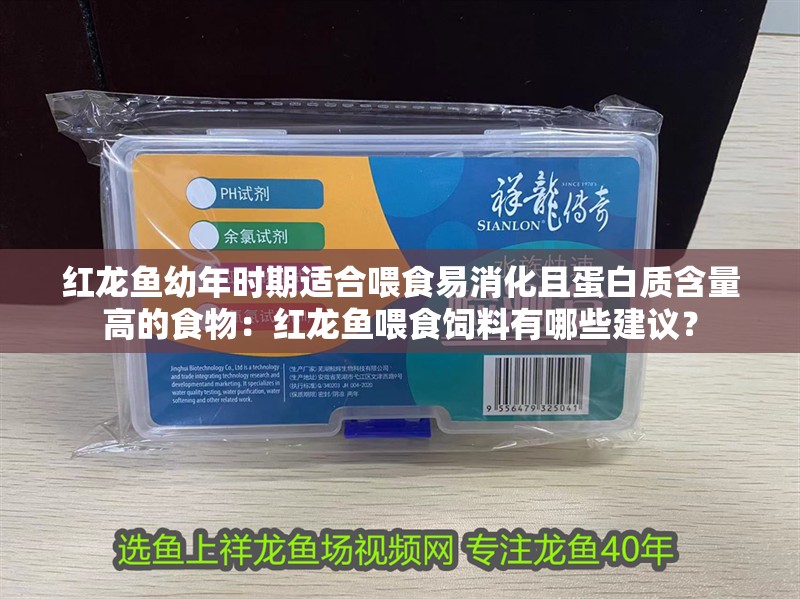 紅龍魚幼年時期適合喂食易消化且蛋白質含量高的食物：紅龍魚喂食飼料有哪些建議？