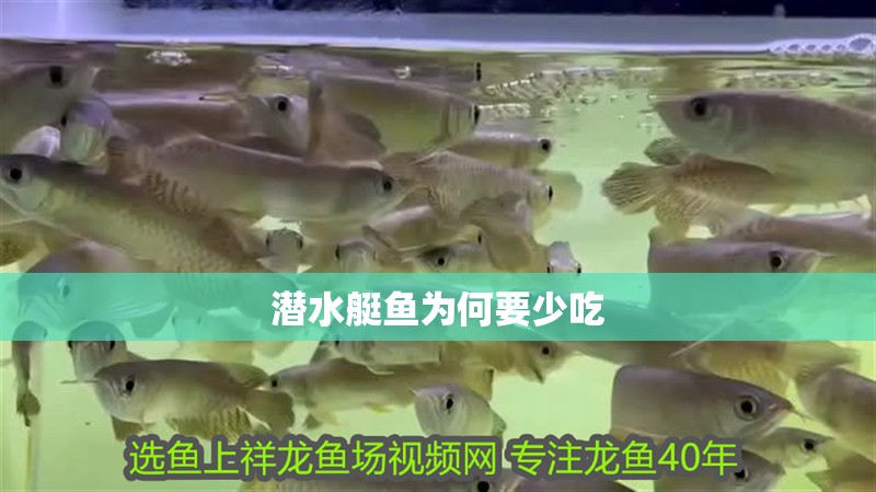 潛水艇魚為何要少吃