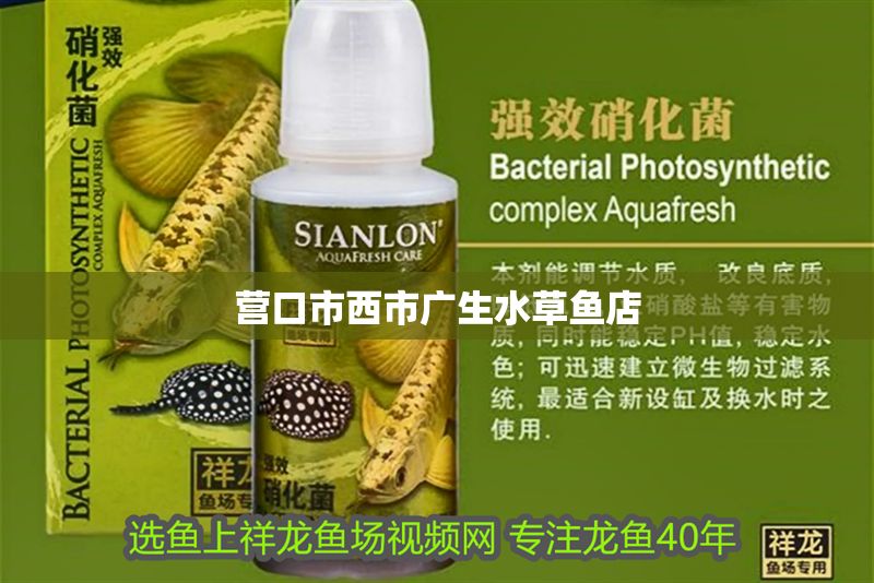 營口市西市廣生水草魚店 營口市西市廣生水草魚店 全國水族館企業名錄 第1張