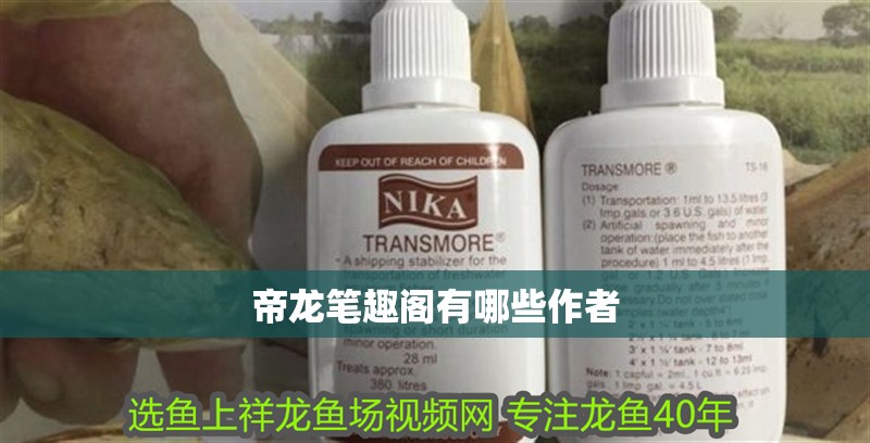 帝龍筆趣閣有哪些作者