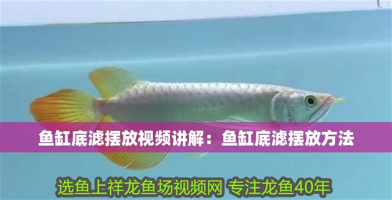 魚缸底濾擺放視頻講解：魚缸底濾擺放方法