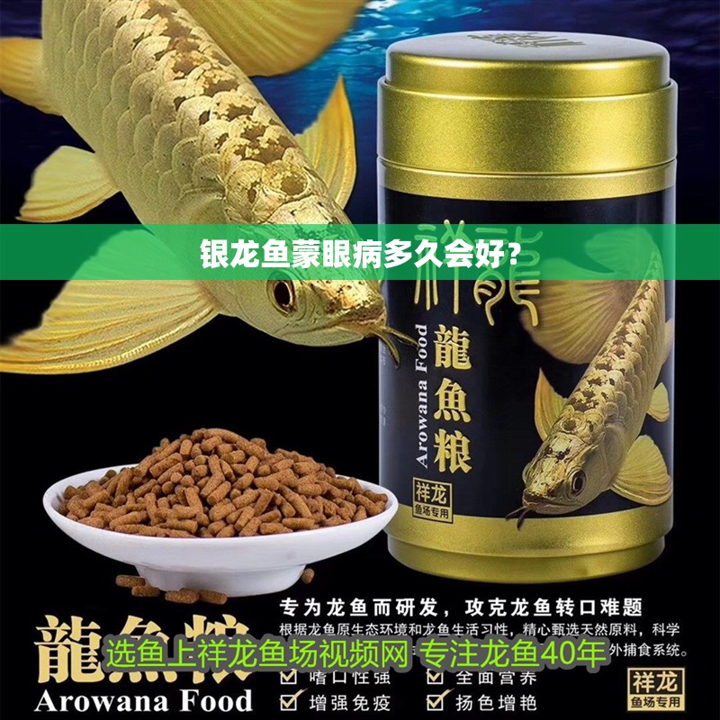 銀龍魚蒙眼病多久會好？