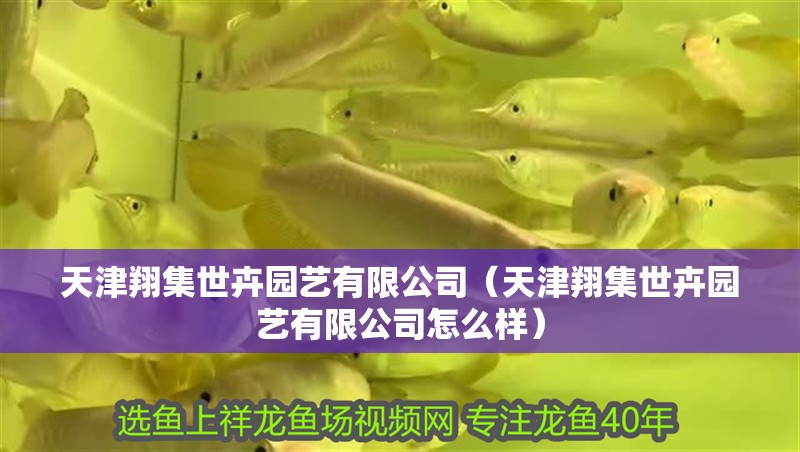 天津翔集世卉園藝有限公司（天津翔集世卉園藝有限公司怎么樣） 天津翔集世卉園藝有限公司（天津翔集世卉園藝有限公司怎么樣） 全國水族館企業名錄