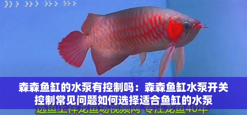 森森魚缸的水泵有控制嗎：森森魚缸水泵開關(guān)控制常見問題如何選擇適合魚缸的水泵