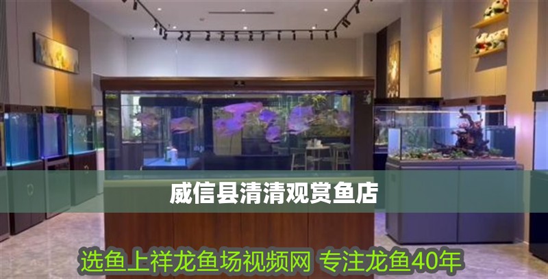威信縣清清觀賞魚店