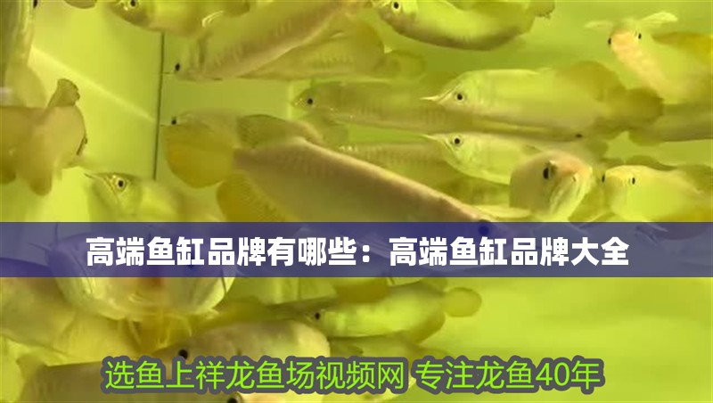 高端魚缸品牌有哪些：高端魚缸品牌大全