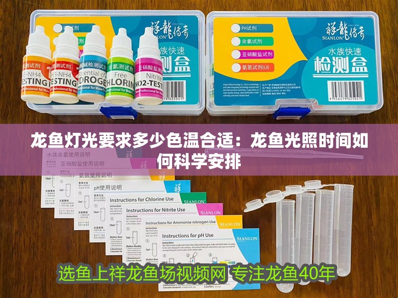 龍魚燈光要求多少色溫合適：龍魚光照時間如何科學安排