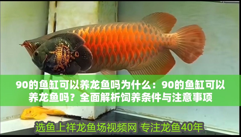 魚缸過濾器選購指南:自制魚缸過濾器魚缸上置過濾器對于養魚愛好者的必備知識 90的魚缸可以養龍魚嗎為什么:90的魚缸可以養龍魚嗎?全面解析飼養條件與注意事項 龍魚百科 90的魚缸可以養龍魚嗎為什么:90的魚缸可以養龍魚嗎?全面解析飼養條件與注意事項 90的魚缸可以養龍魚嗎為什么:90的魚缸可以養龍魚嗎?全面解析飼養條件與注意事項 龍魚百科