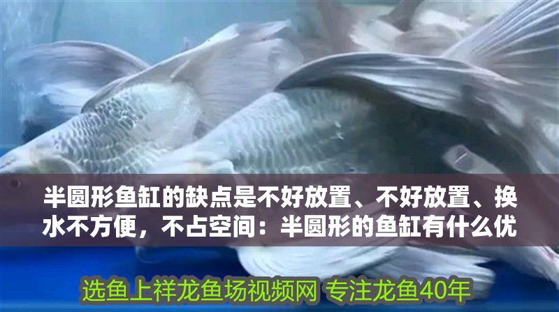 半圓形魚缸的缺點是不好放置、不好放置、換水不方便，不占空間：半圓形的魚缸有什么優點？