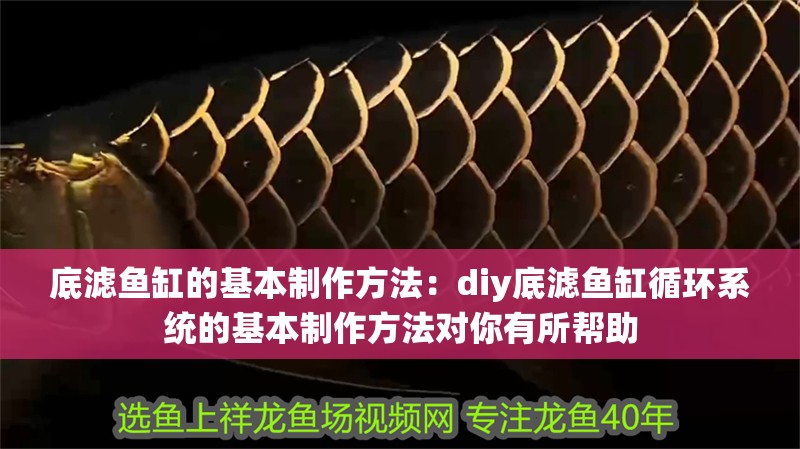 底濾魚缸的基本制作方法：diy底濾魚缸循環系統的基本制作方法對你有所幫助
