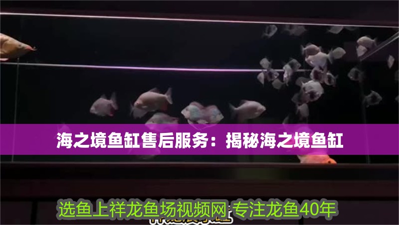 海之境魚缸售后服務(wù)：揭秘海之境魚缸