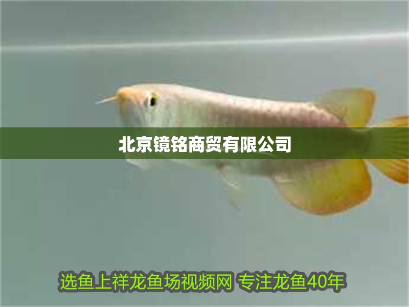 <strong><mark>北京</mark></strong>鏡銘商貿有限公司