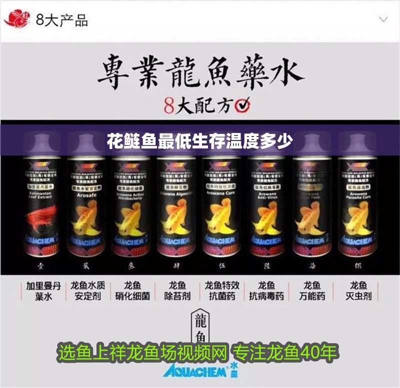 花鰱魚最低生存溫度多少 花鰱魚最低生存溫度多少 龍魚論壇