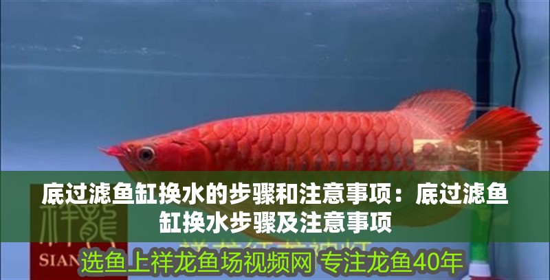 底過濾魚缸換水的步驟和注意事項：底過濾魚缸換水步驟及注意事項 底過濾魚缸換水的步驟和注意事項：底過濾魚缸換水步驟及注意事項 魚缸百科