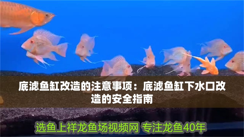 底濾魚缸改造的注意事項：底濾魚缸下水口改造的安全指南