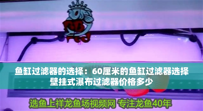魚缸過濾器的選擇：60厘米的魚缸過濾器選擇壁掛式瀑布過濾器價格多少