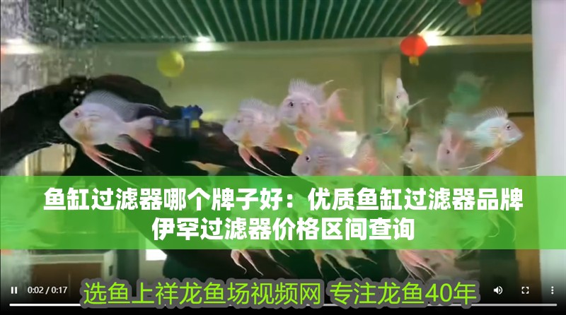 魚缸過濾器哪個牌子好：優質魚缸過濾器品牌伊罕過濾器價格區間查詢
