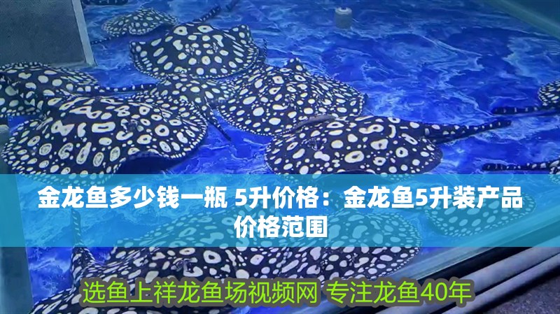 金龍魚(yú)多少錢(qián)一瓶 5升價(jià)格：金龍魚(yú)5升裝產(chǎn)品價(jià)格范圍