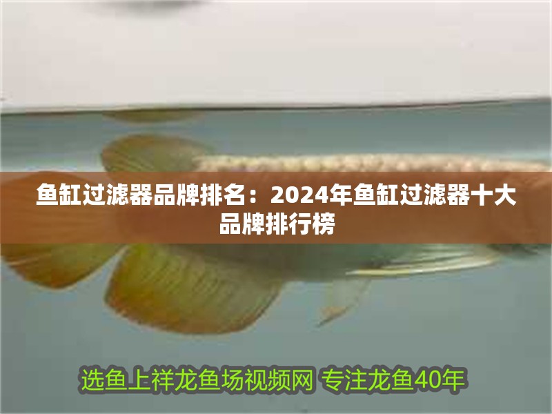 魚缸過濾器品牌排名：2024年魚缸過濾器十大品牌排行榜