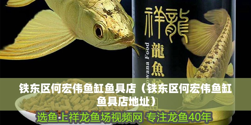 鐵東區(qū)何宏偉魚缸魚具店（鐵東區(qū)何宏偉魚缸魚具店地址） 鐵東區(qū)何宏偉魚缸魚具店（鐵東區(qū)何宏偉魚缸魚具店地址） 全國水族館企業(yè)名錄