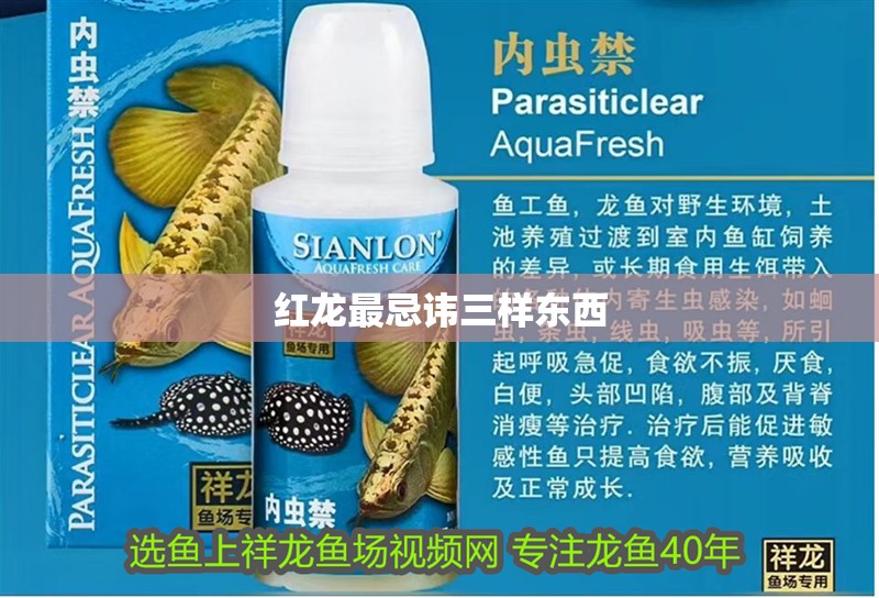 紅龍最忌諱三樣?xùn)|西