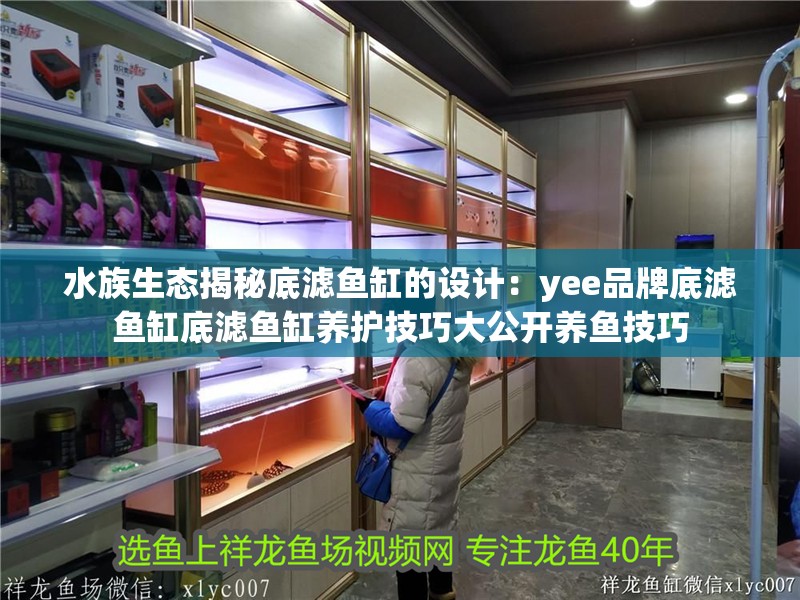 水族生態(tài)揭秘底濾魚(yú)缸的設(shè)計(jì)：yee品牌底濾魚(yú)缸底濾魚(yú)缸養(yǎng)護(hù)技巧大公開(kāi)養(yǎng)魚(yú)技巧