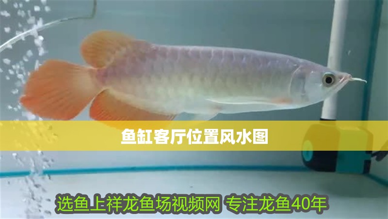 魚(yú)缸客廳位置風(fēng)水圖 魚(yú)缸客廳位置風(fēng)水圖 龍魚(yú)論壇