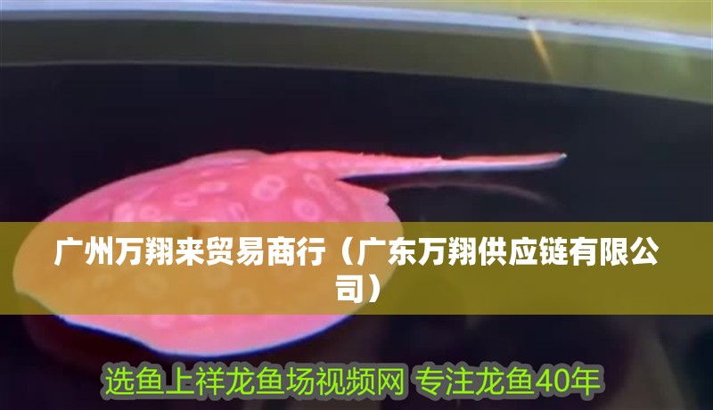 廣州萬翔來貿易商行（廣東萬翔供應鏈有限公司）