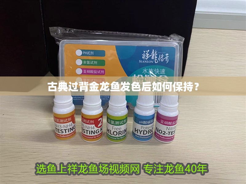 古典過背金龍魚發色后如何保持？