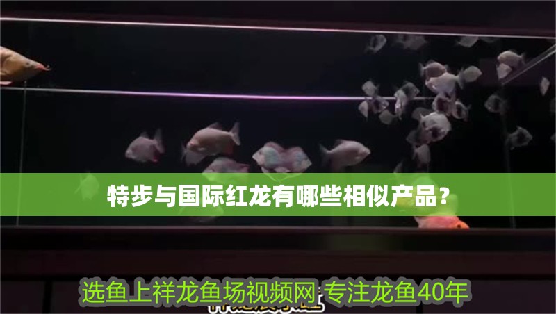 特步與國際紅龍有哪些相似產品？