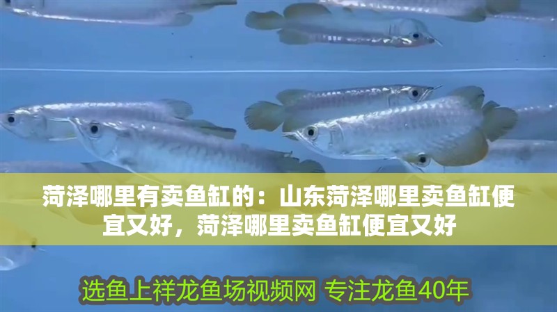 菏澤哪里有賣(mài)魚(yú)缸的：山東菏澤哪里賣(mài)魚(yú)缸便宜又好，菏澤哪里賣(mài)魚(yú)缸便宜又好