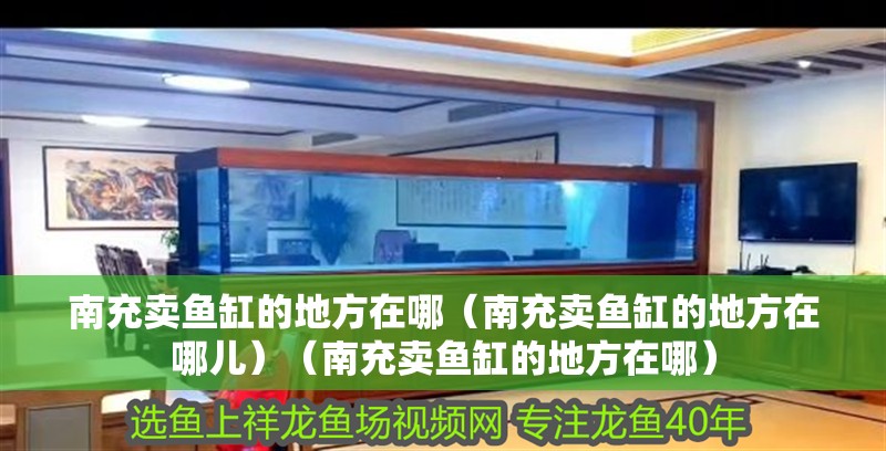 南充賣魚缸的地方在哪（南充賣魚缸的地方在哪兒）（南充賣魚缸的地方在哪）