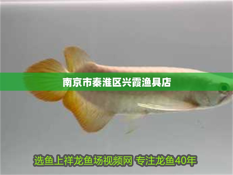 魚缸用增氧泵價格是多少:魚缸增氧機-xtrac增氧機-xtrac增氧機 南京市秦淮區興霞漁具店 全國水族館企業名錄 南京市秦淮區興霞漁具店 南京市秦淮區興霞漁具店 全國水族館企業名錄