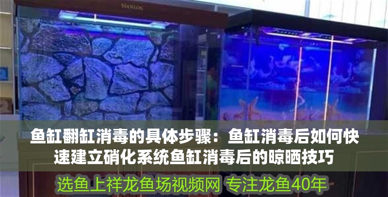 魚缸翻缸消毒的具體步驟：魚缸消毒后如何快速建立硝化系統(tǒng)魚缸消毒后的晾曬技巧