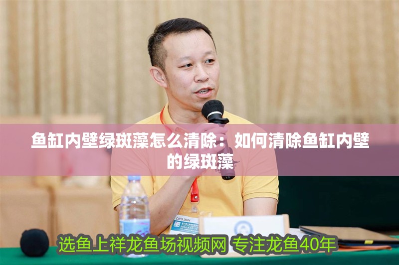 魚缸內壁綠斑藻怎么清除：如何清除魚缸內壁的綠斑藻