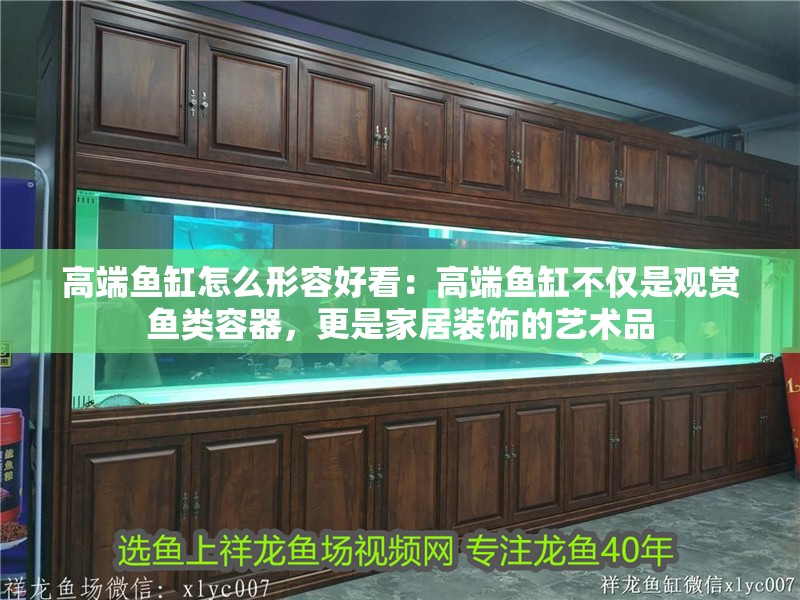 高端魚缸怎么形容好看：高端魚缸不僅是觀賞魚類容器，更是家居裝飾的藝術(shù)品