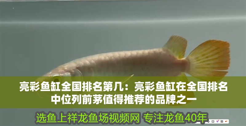 亮彩魚缸全國排名第幾：亮彩魚缸在全國排名中位列前茅值得推薦的品牌之一