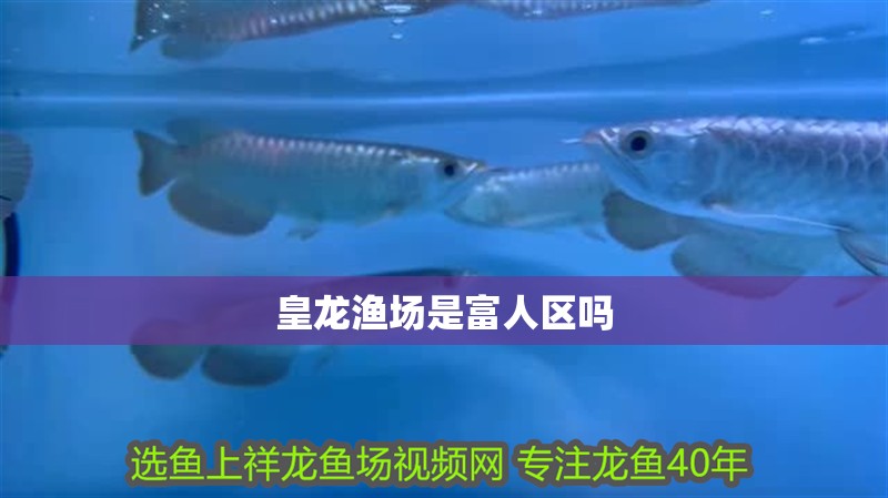 皇龍漁場是富人區嗎 皇龍漁場是富人區嗎 龍魚論壇
