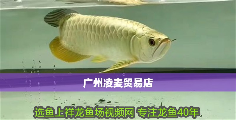 廣州凌麥貿易店