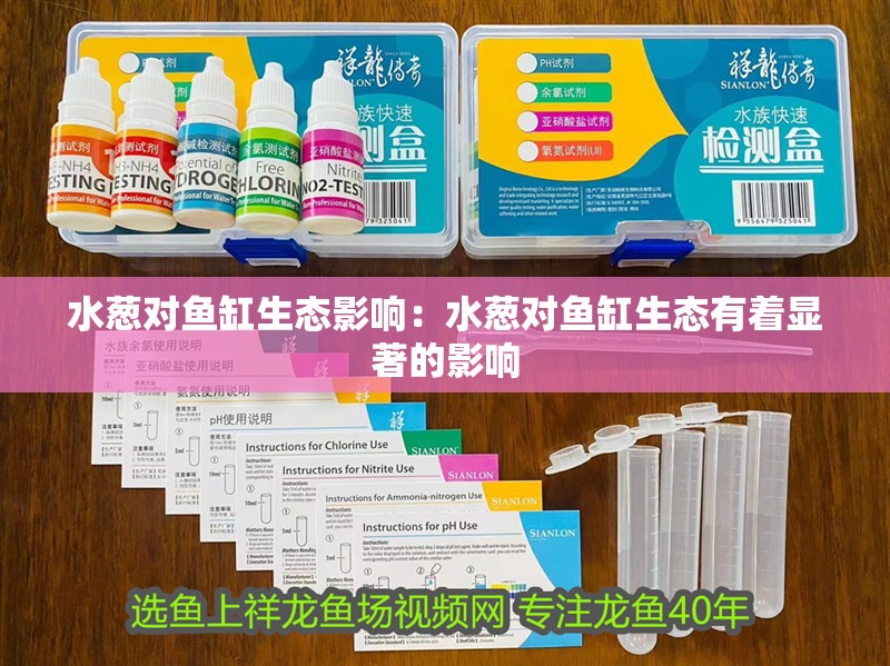 水蔥對魚缸生態影響：水蔥對魚缸生態有著顯著的影響
