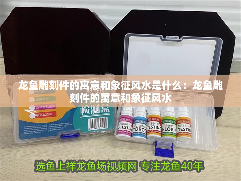 龍魚雕刻件的寓意和象征風水是什么：龍魚雕刻件的寓意和象征風水