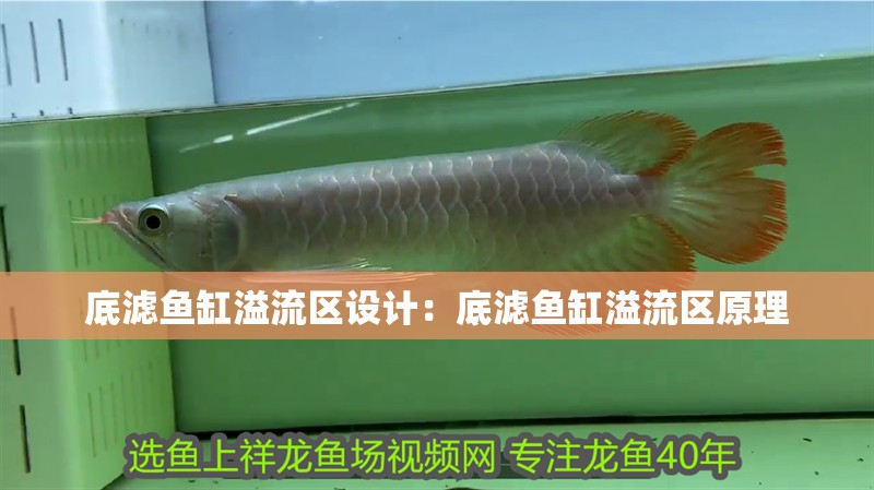 底濾魚缸溢流區(qū)設(shè)計(jì)：底濾魚缸溢流區(qū)原理