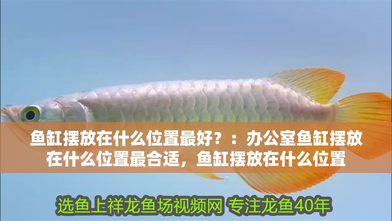 魚缸擺放在什么位置最好？：辦公室魚缸擺放在什么位置最合適，魚缸擺放在什么位置
