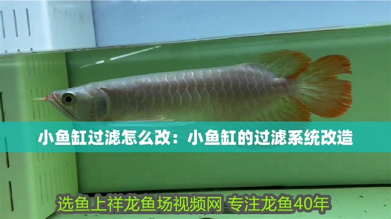 小魚缸過濾怎么改：小魚缸的過濾系統改造