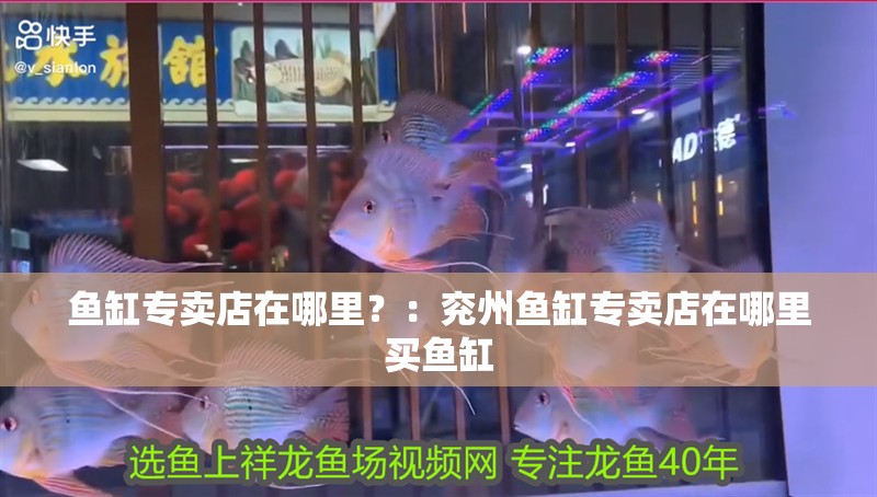 魚(yú)缸專賣店在哪里？：兗州魚(yú)缸專賣店在哪里買魚(yú)缸