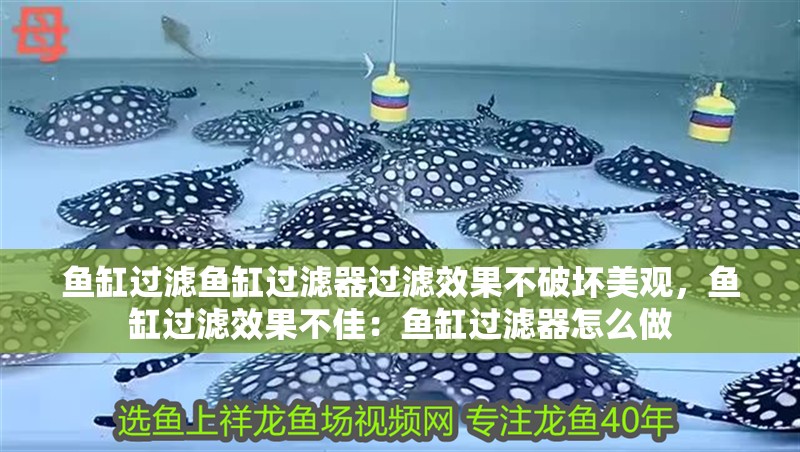 魚(yú)缸過(guò)濾魚(yú)缸過(guò)濾器過(guò)濾效果不破壞美觀，魚(yú)缸過(guò)濾效果不佳：魚(yú)缸過(guò)濾器怎么做