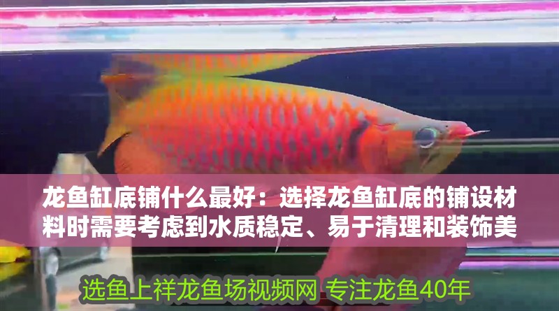 龍魚缸底鋪什么最好：選擇龍魚缸底的鋪設材料時需要考慮到水質穩定、易于清理和裝飾美觀等因素