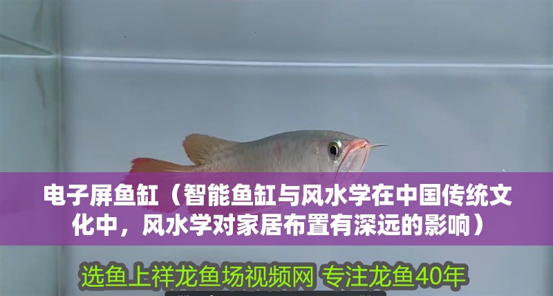 電子屏魚缸（智能魚缸與風水學在中國傳統文化中，風水學對家居布置有深遠的影響） 電子屏魚缸（智能魚缸與風水學在中國傳統文化中，風水學對家居布置有深遠的影響） 魚缸百科